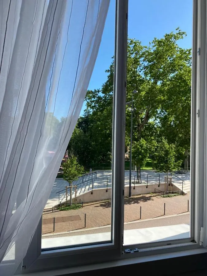 Apartment Appartement Place Des Promenades Roanne France